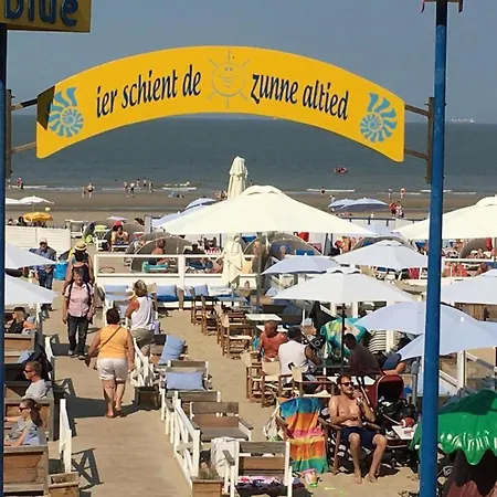 Luxurious With Sea View *