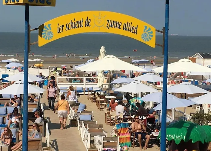 Luxurious With Sea View *